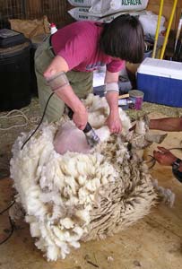 Jacqueé removing a thick fleece